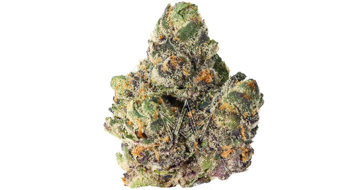 Lemonatti Indoor