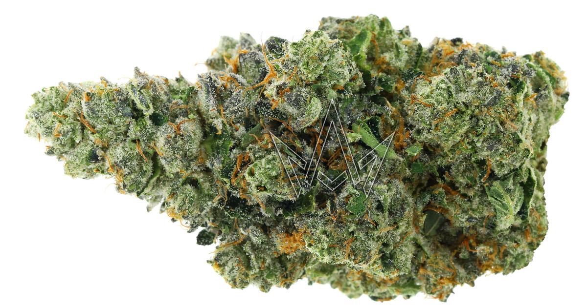 Dr. Freeze