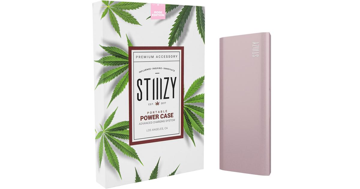 Rose Gold Portable Power Case