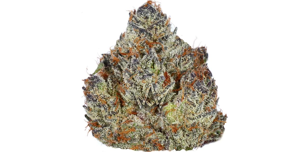 Cherry Zest #4