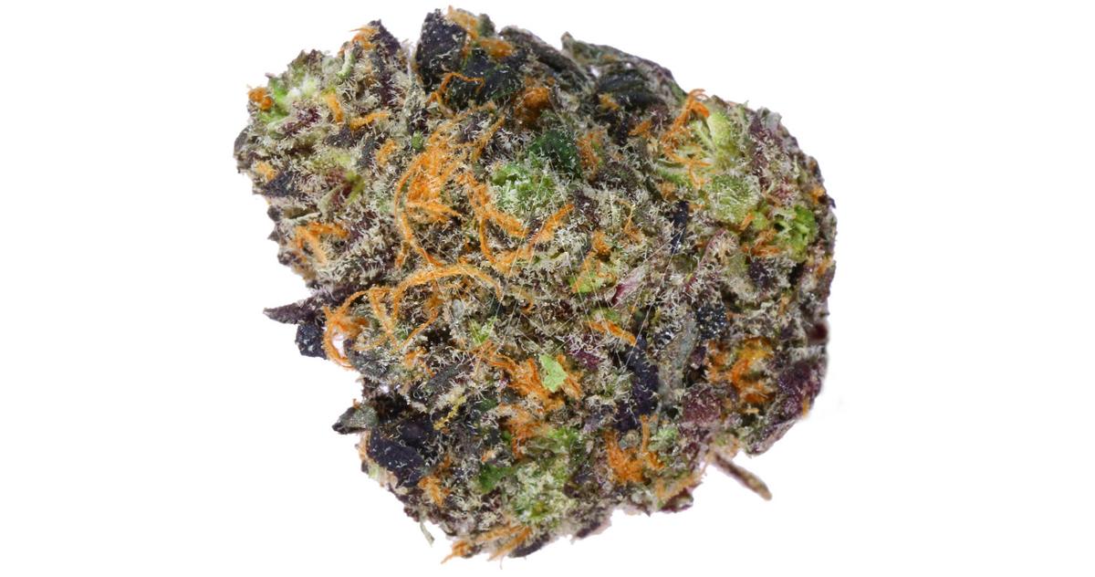 Melon Brainz