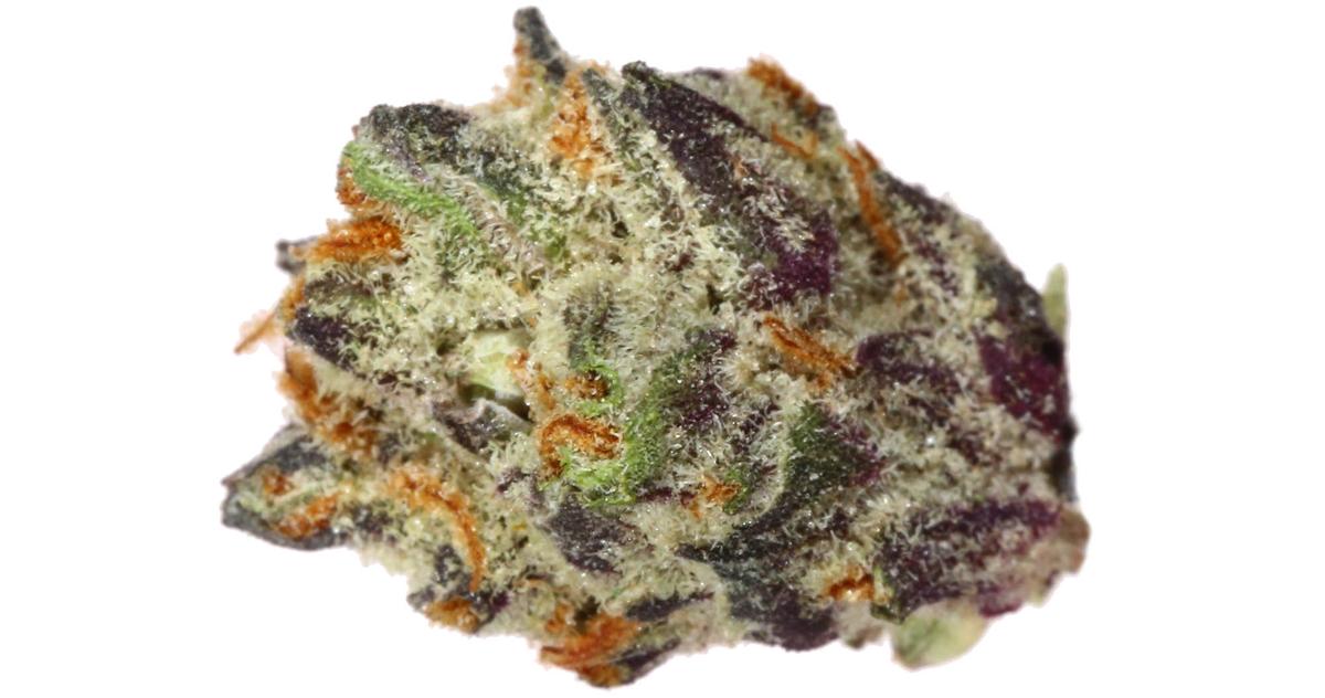 Sundae Driver Indoor Smalls