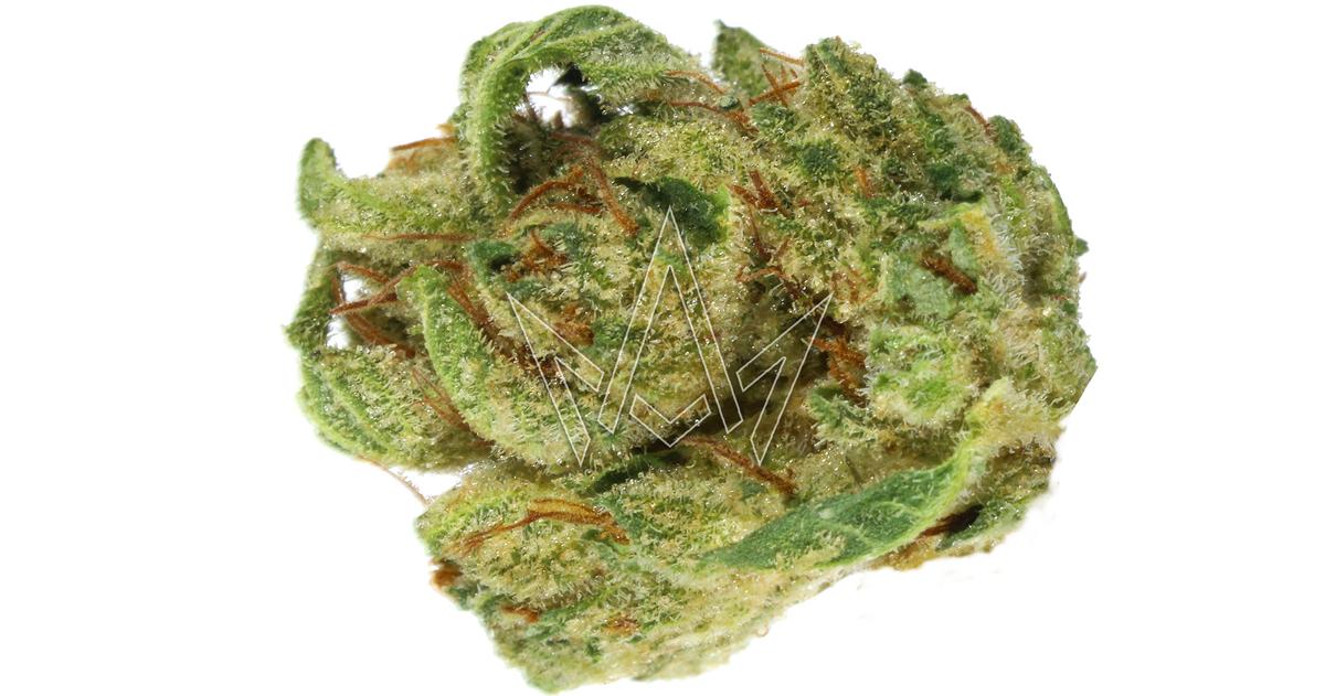 GG4