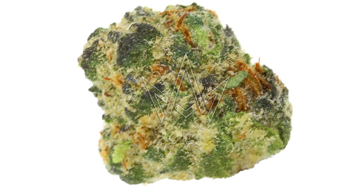 Sweet Cream Indoor Smalls