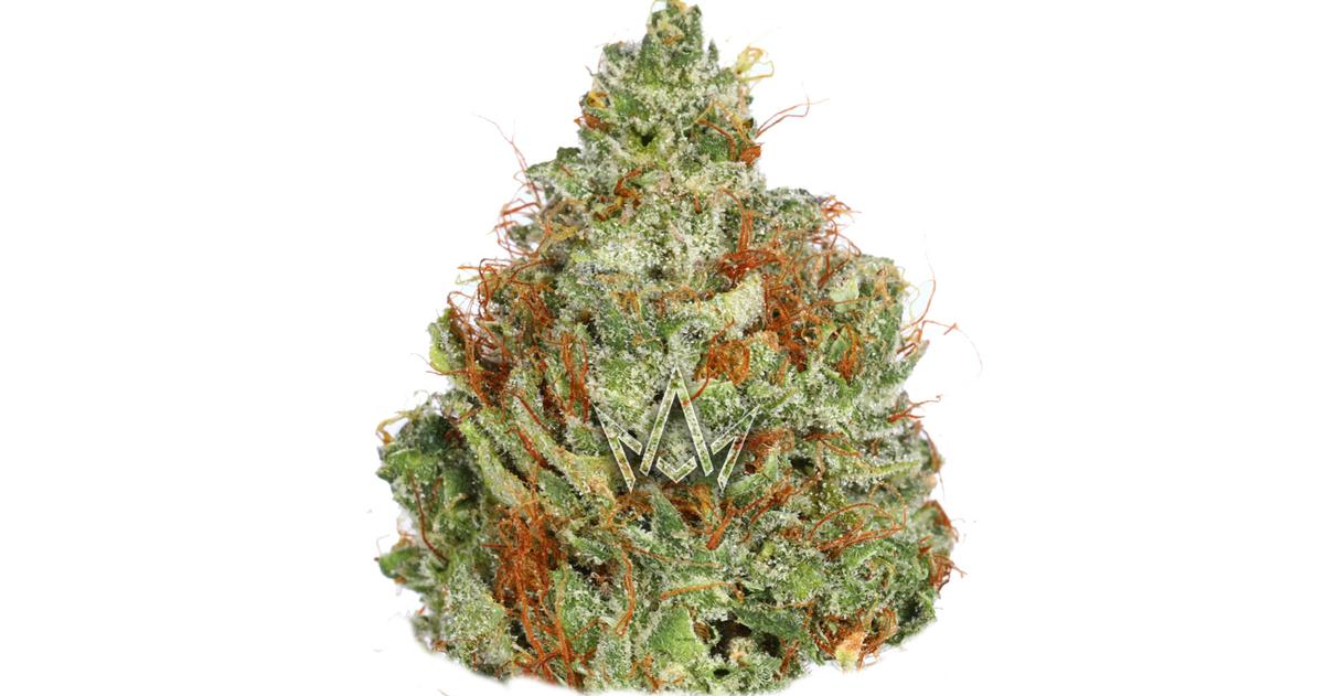 Starburst 36 #1