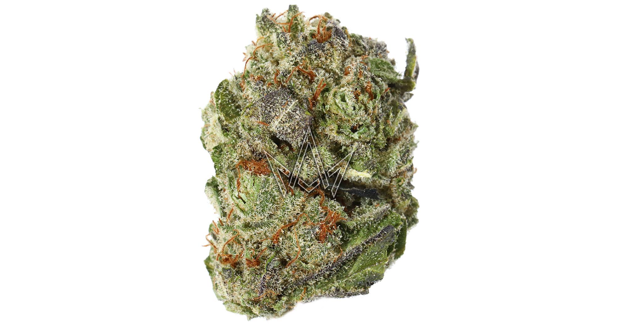 Cherry Punch