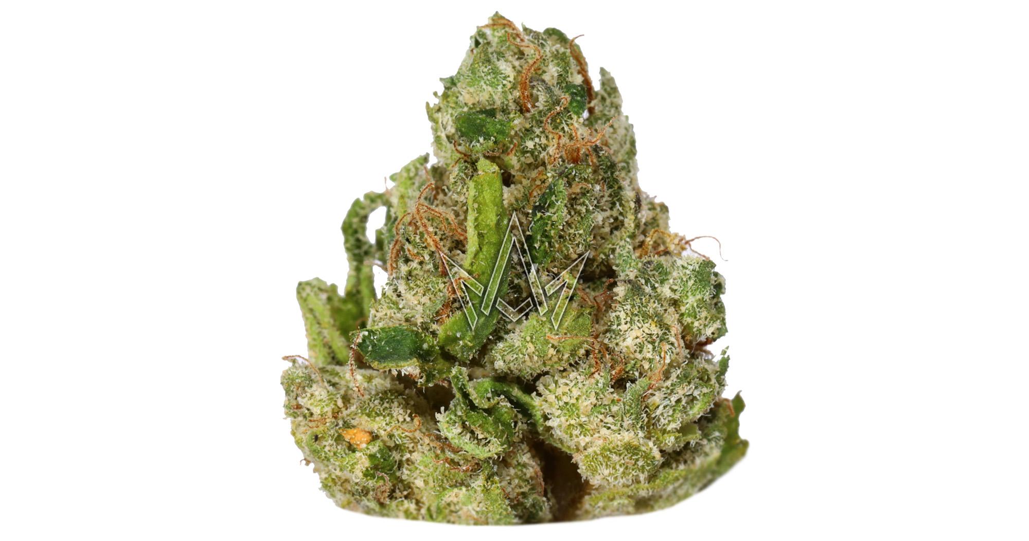 Lemon Headz Indoor Smalls