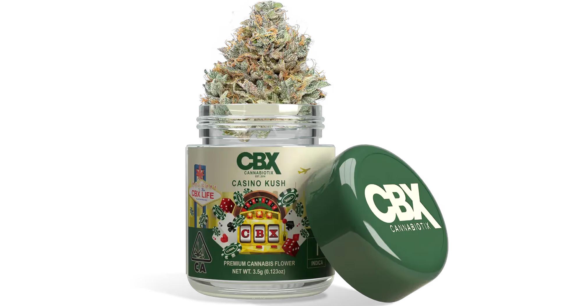 Casino Kush