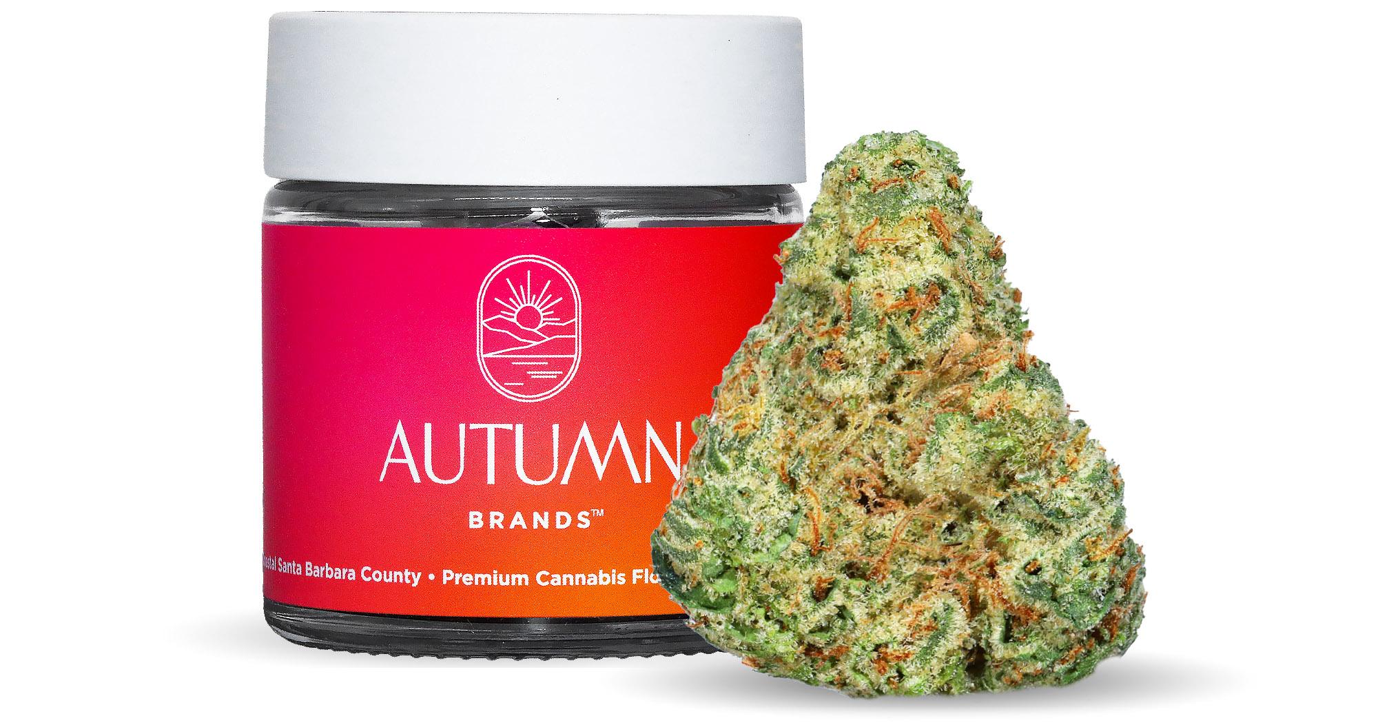 Mule Fuel