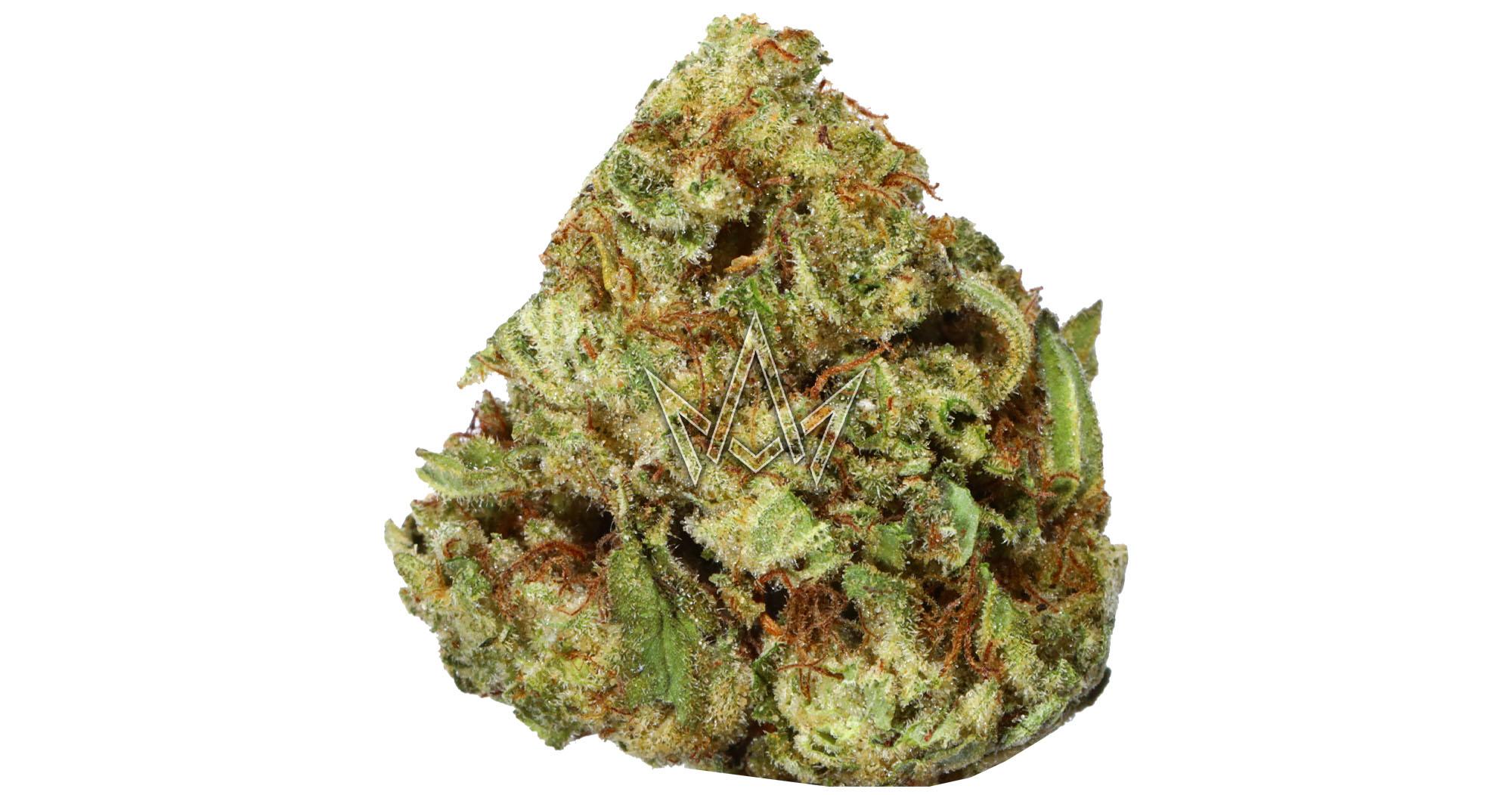 Chem Dawg x LKM