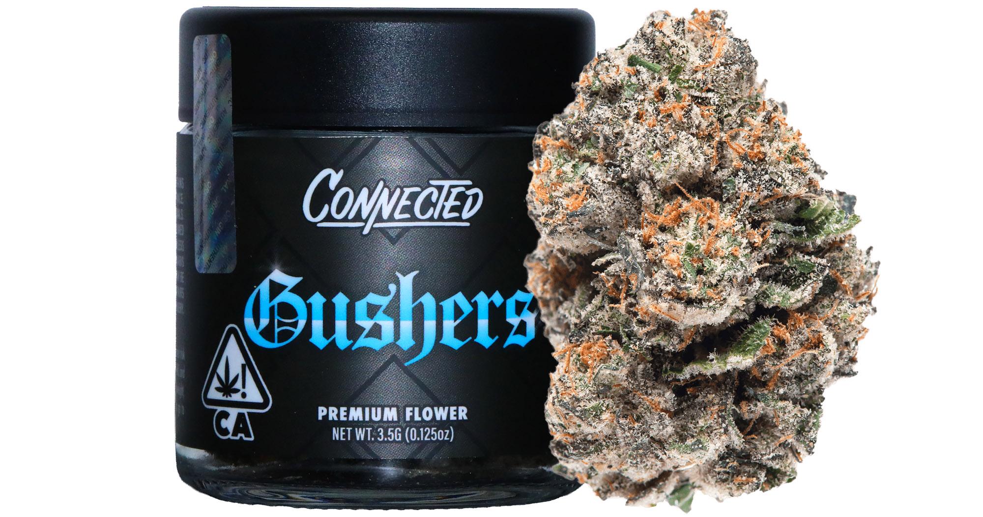 Gushers Indoor