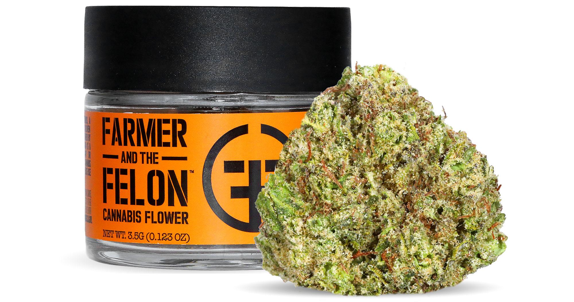 Gelato Z