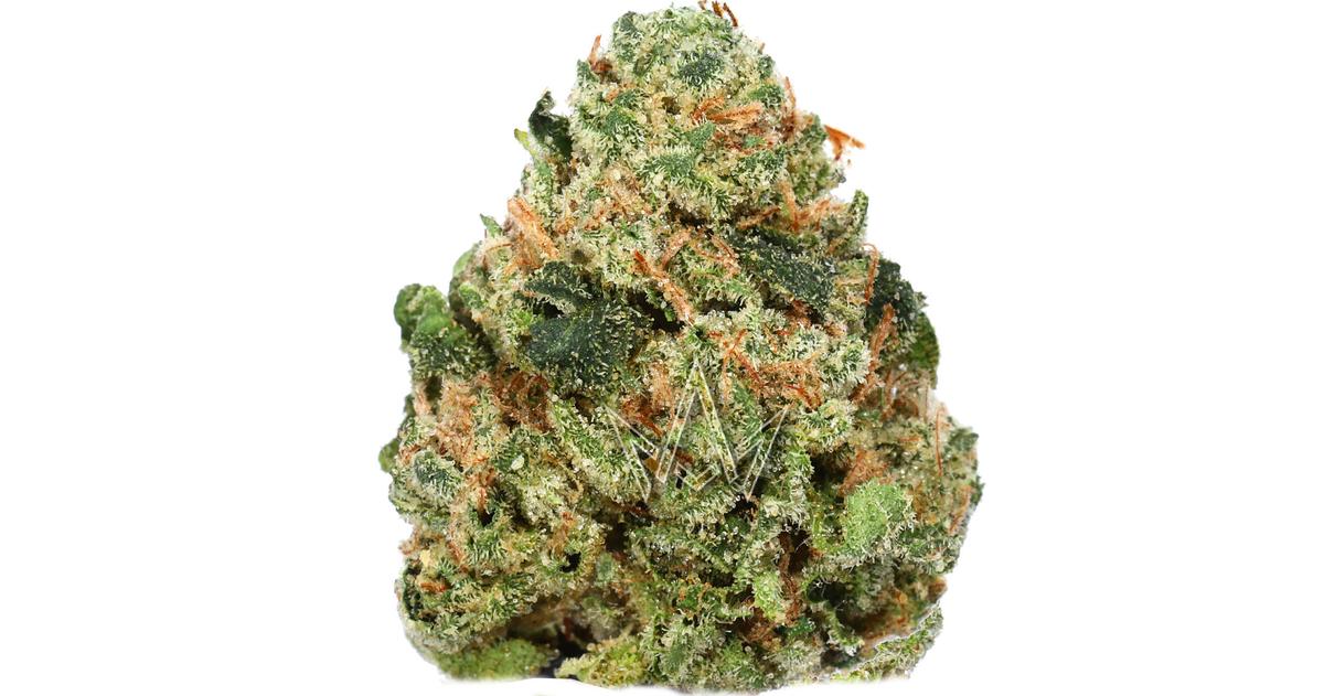 Donny Burger Platinum