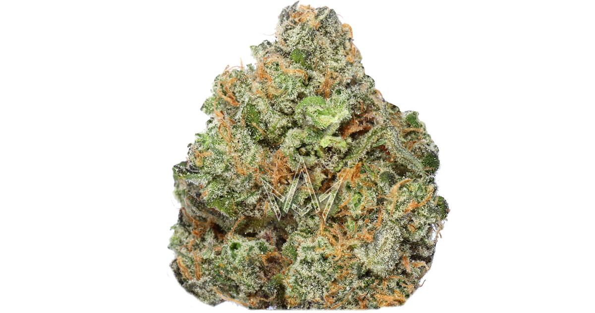 Electric Blue Indoor