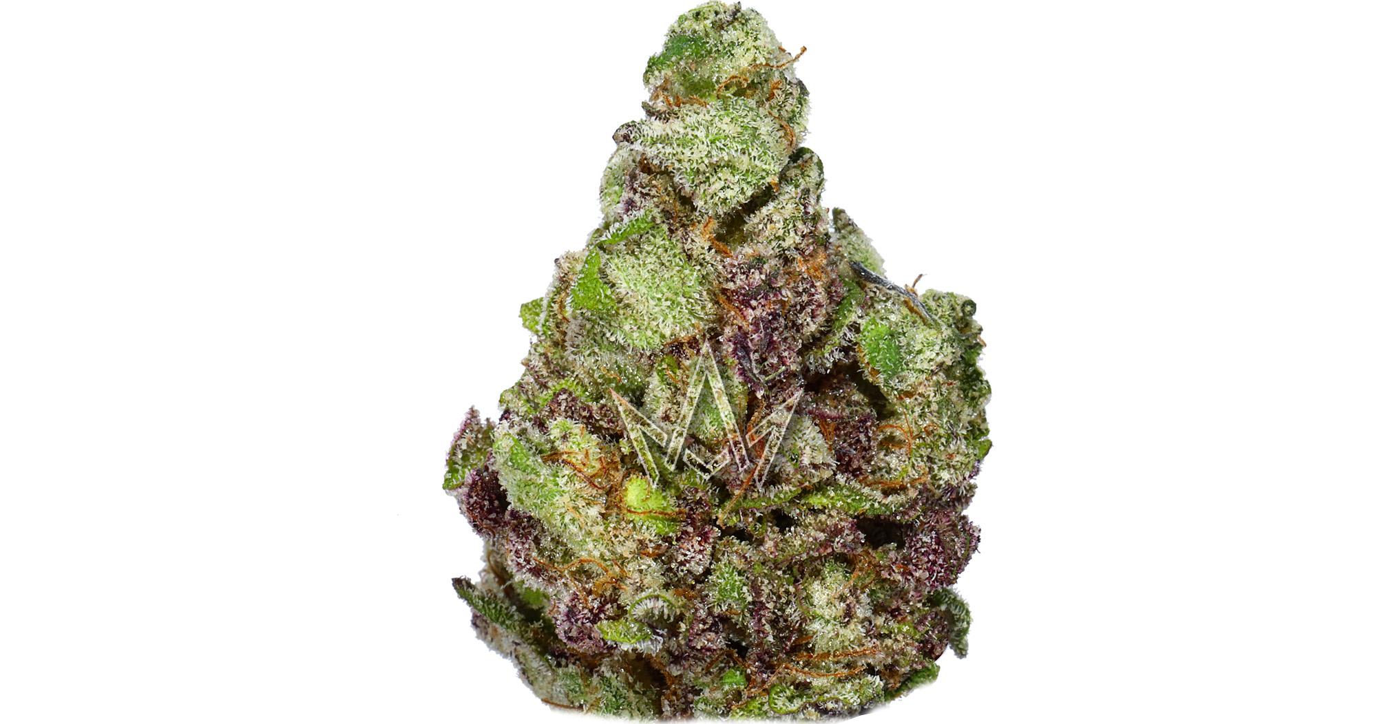 Honey Banana x Rick Jamez #8