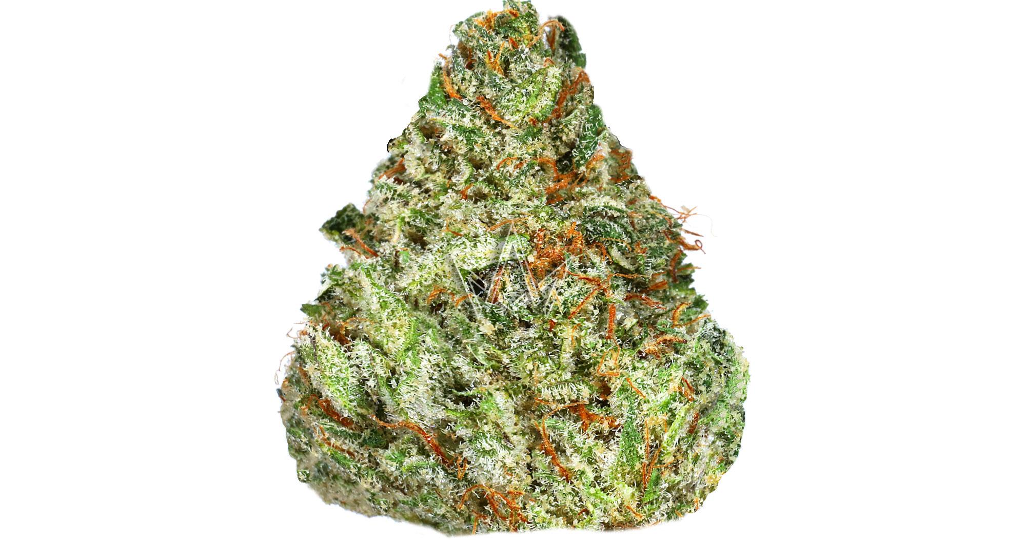 Super Silver Haze