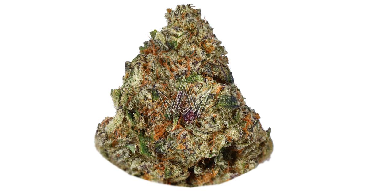 Sunset Sherbet Top Shelf Indoor