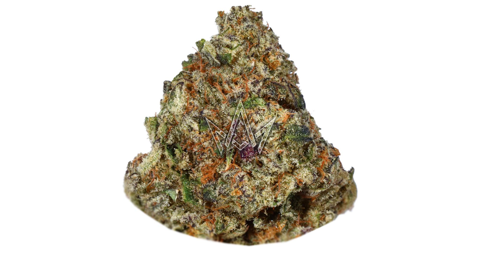 Sunset Sherbet Top Shelf Indoor