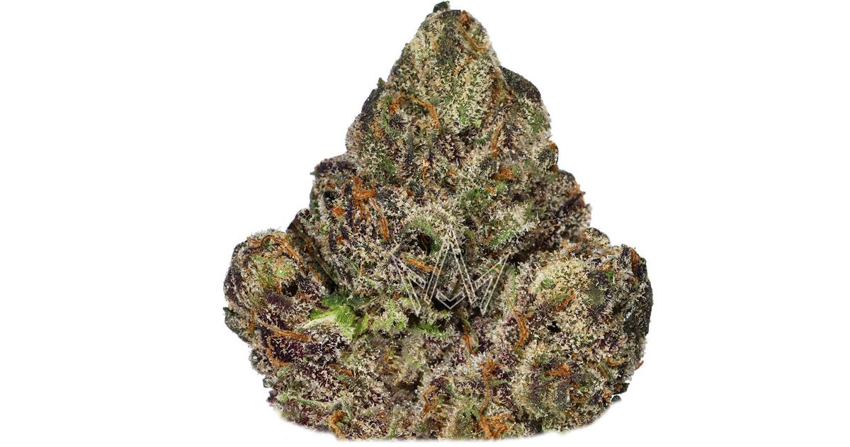 Bubblegum Gelato