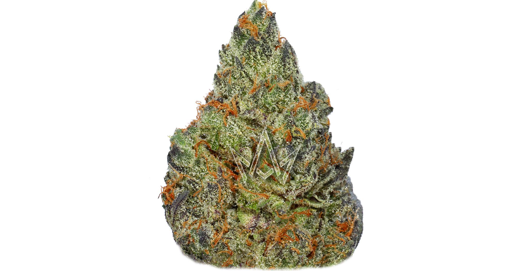Gorilla Runtz #25
