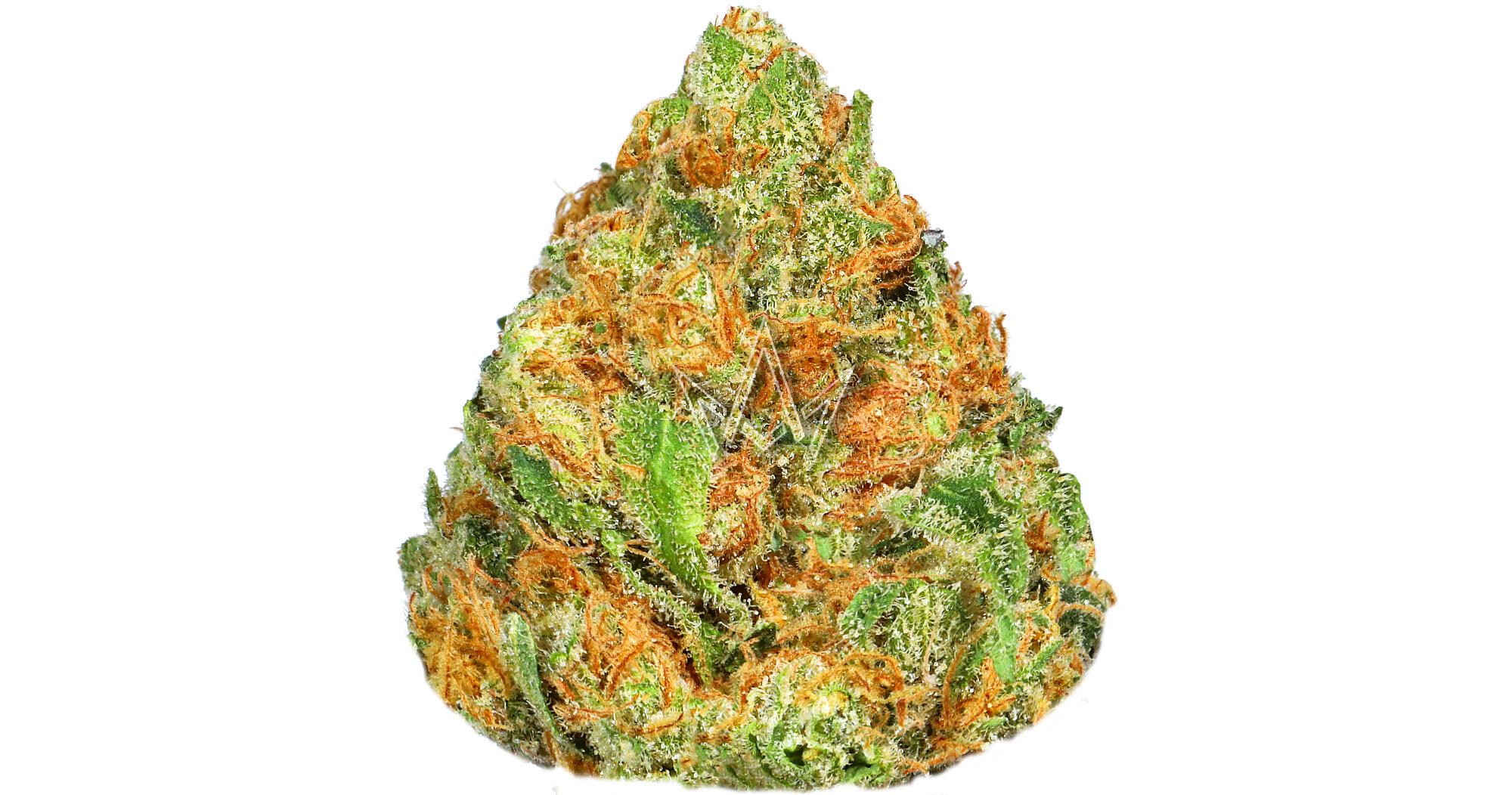 Citrus Twist