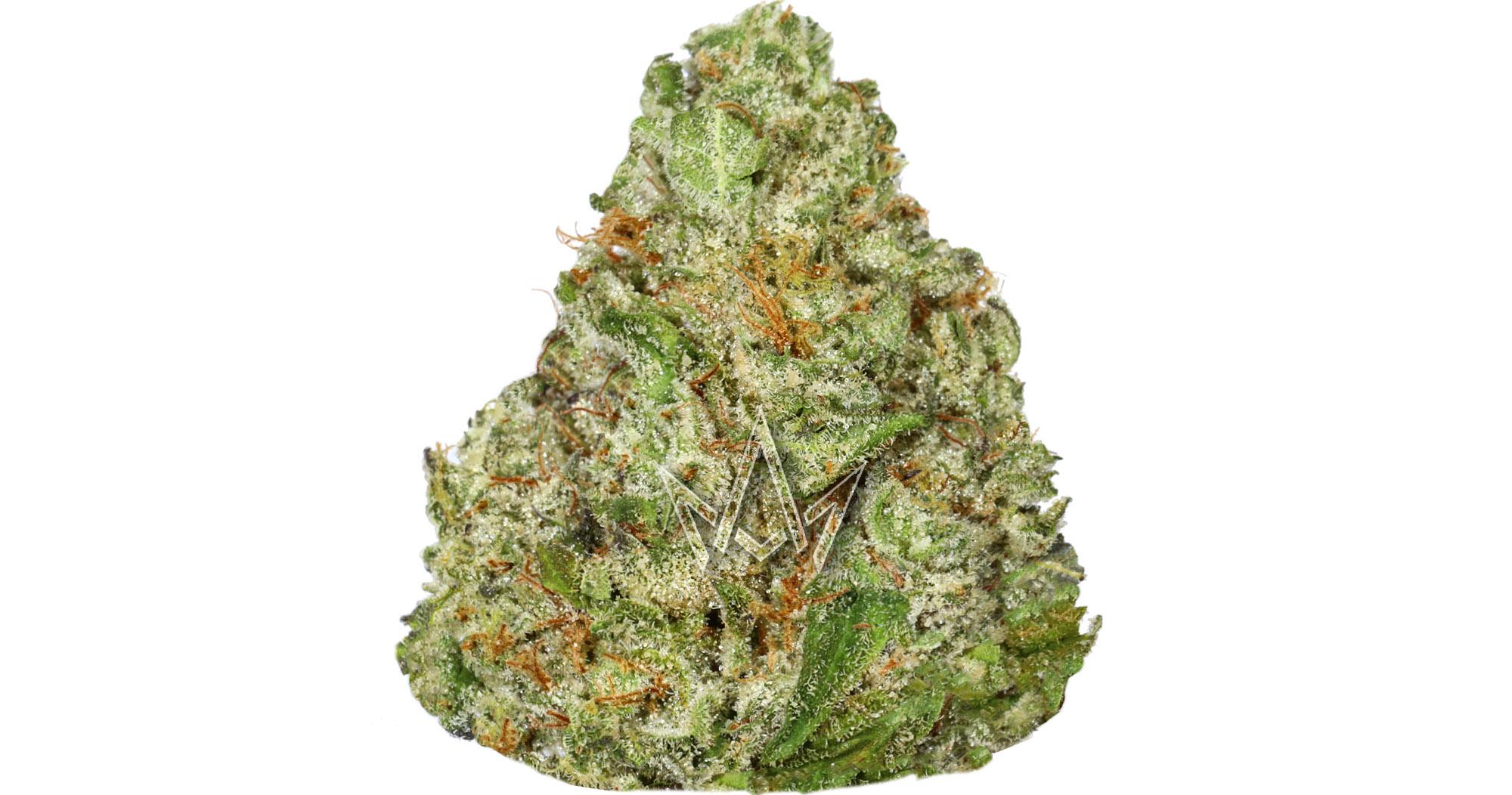 Kush Mints