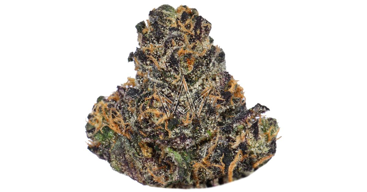 Sunset Sherbet Living Soil Flower