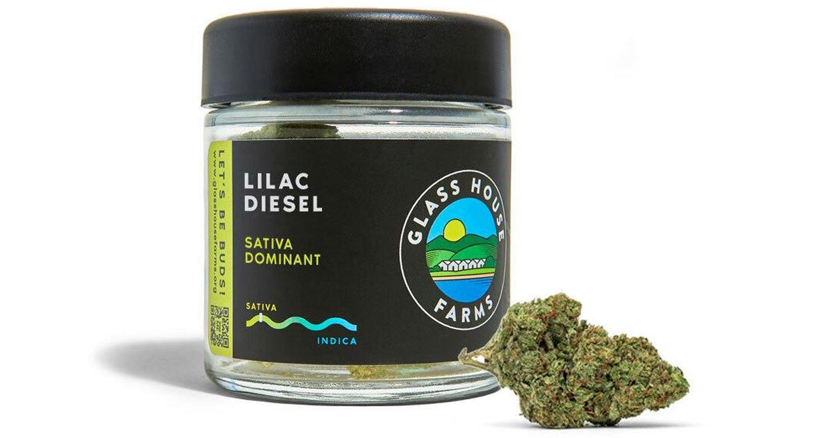Lilac Diesel