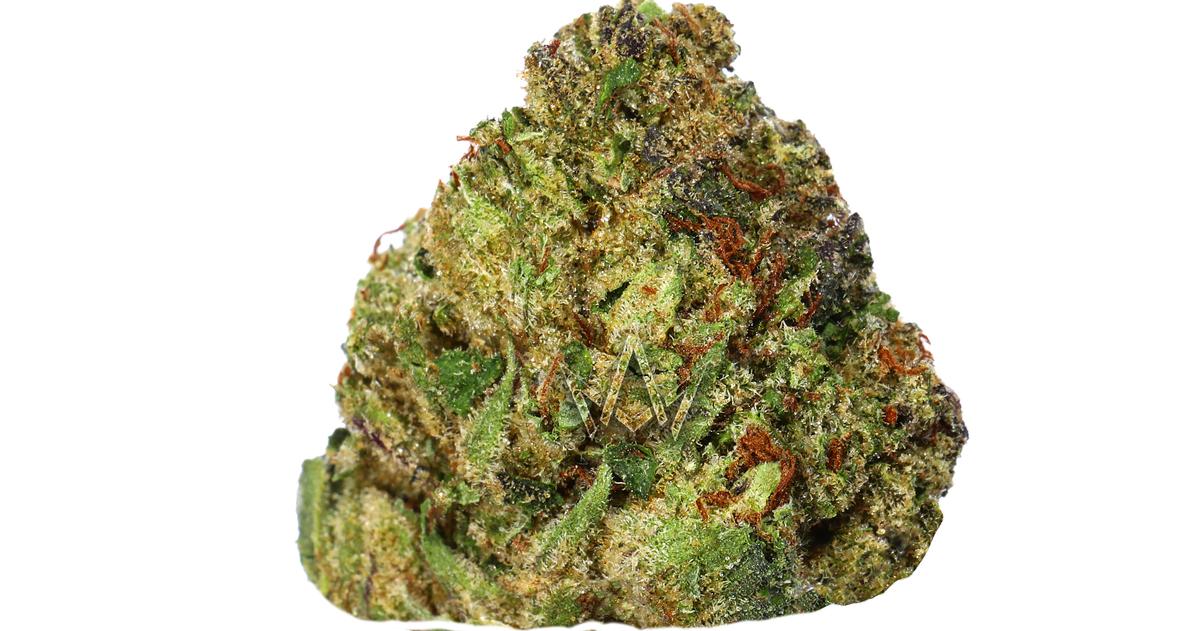 Cherry Nova