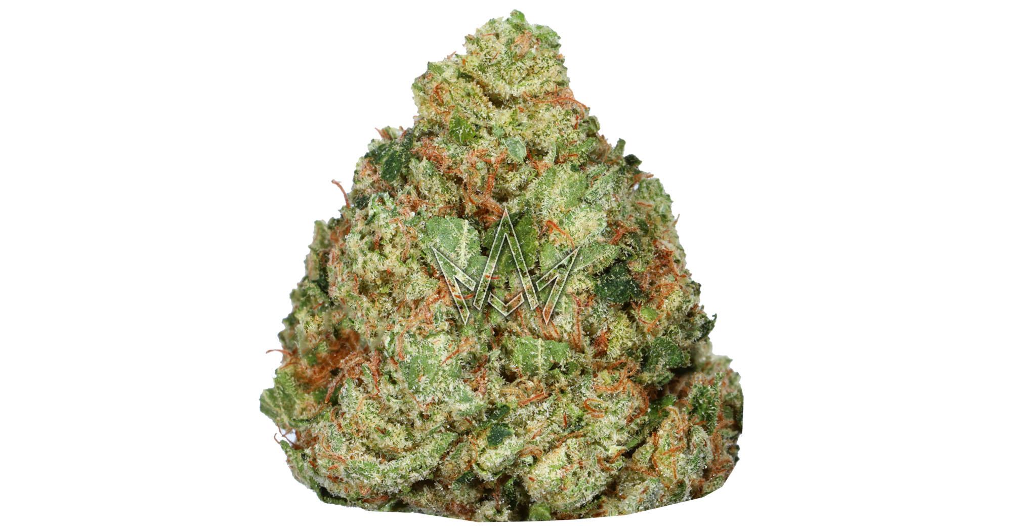 Chem 91