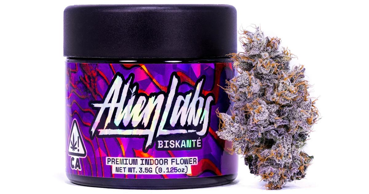 Biskante Indoor