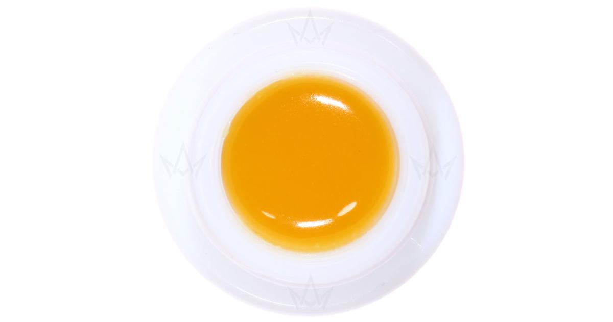 Biesel Dog #61 x Koffee F2 #13 Live Badder