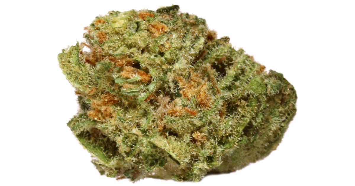 Orange Creamsicle