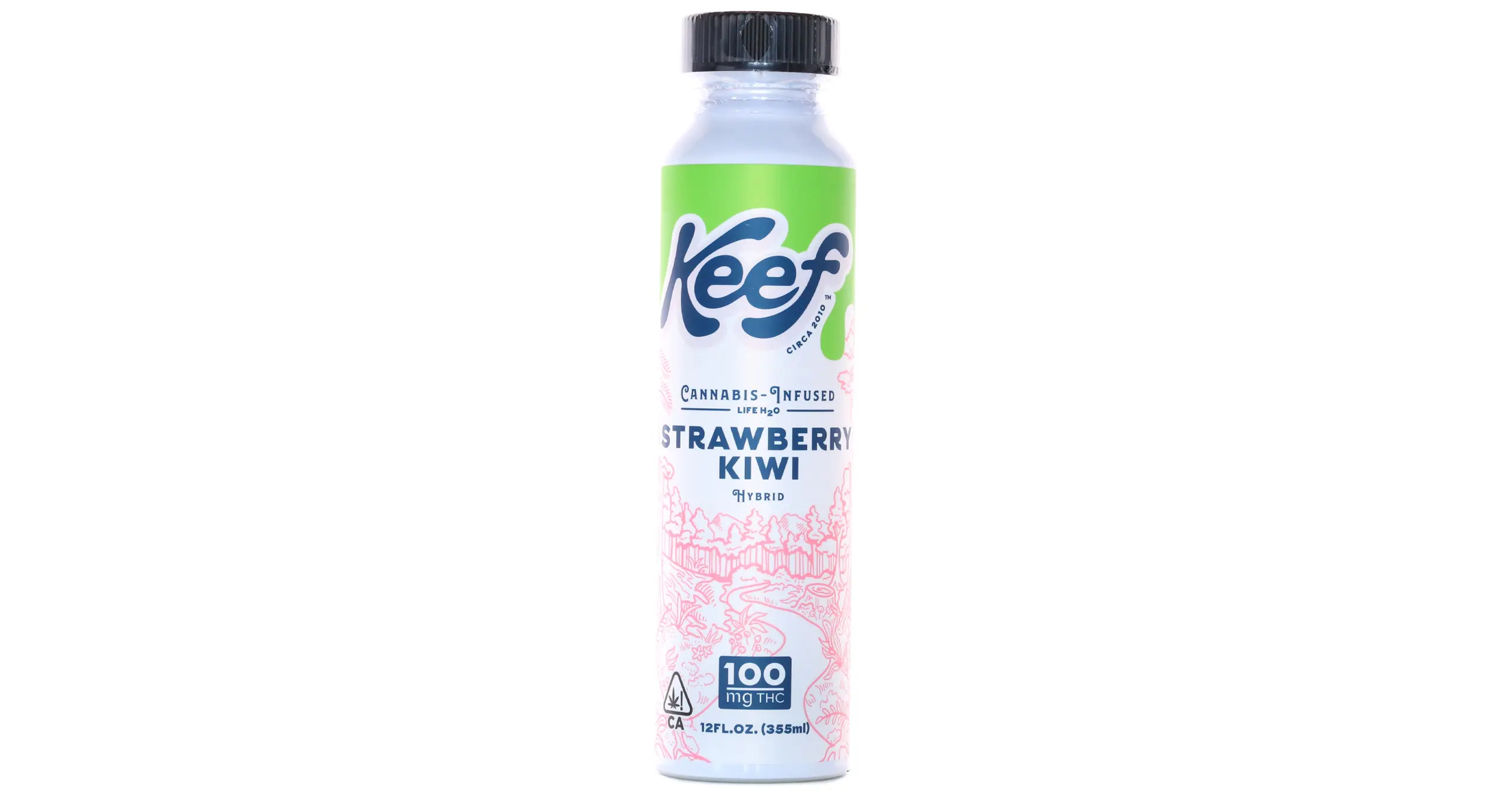 Strawberry Kiwi Water