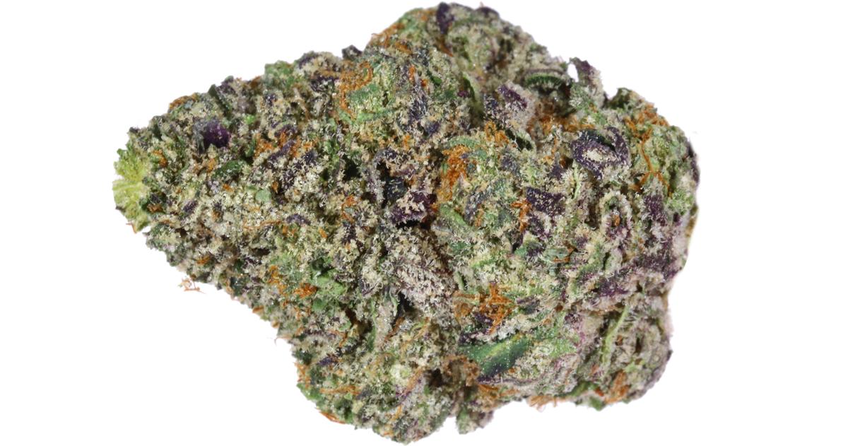 Gelato
