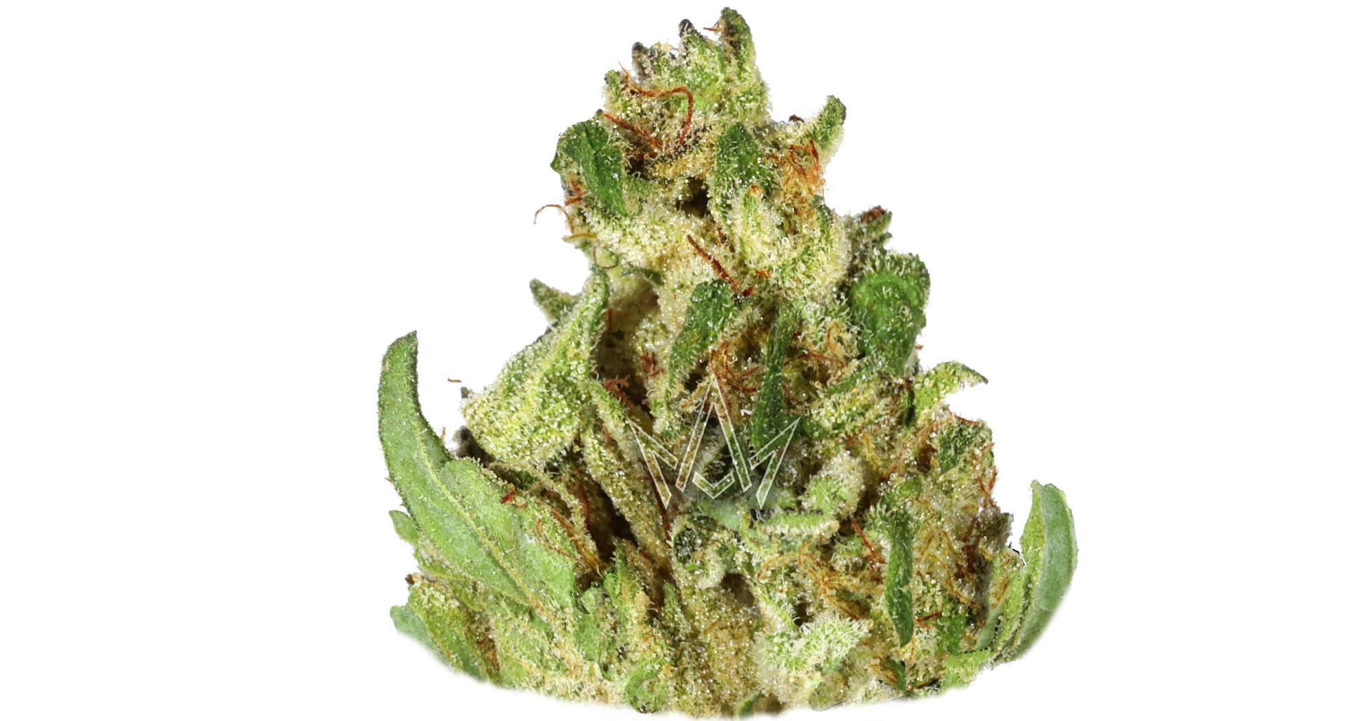 Honey Buns Premium Smalls