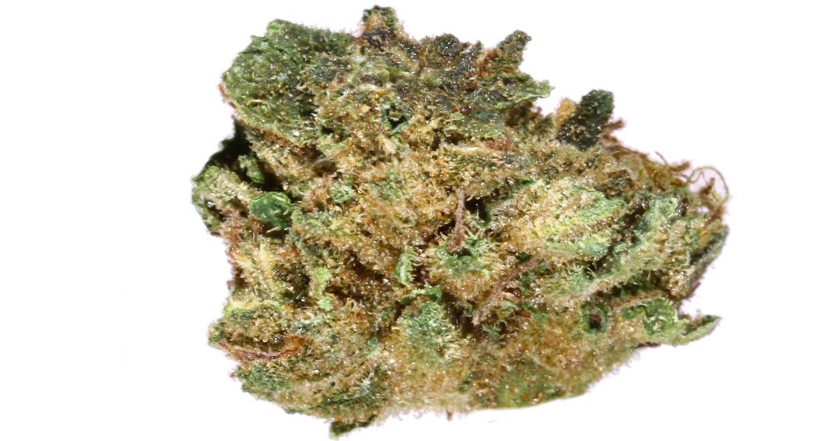 Sunset Cookies Premium Smalls