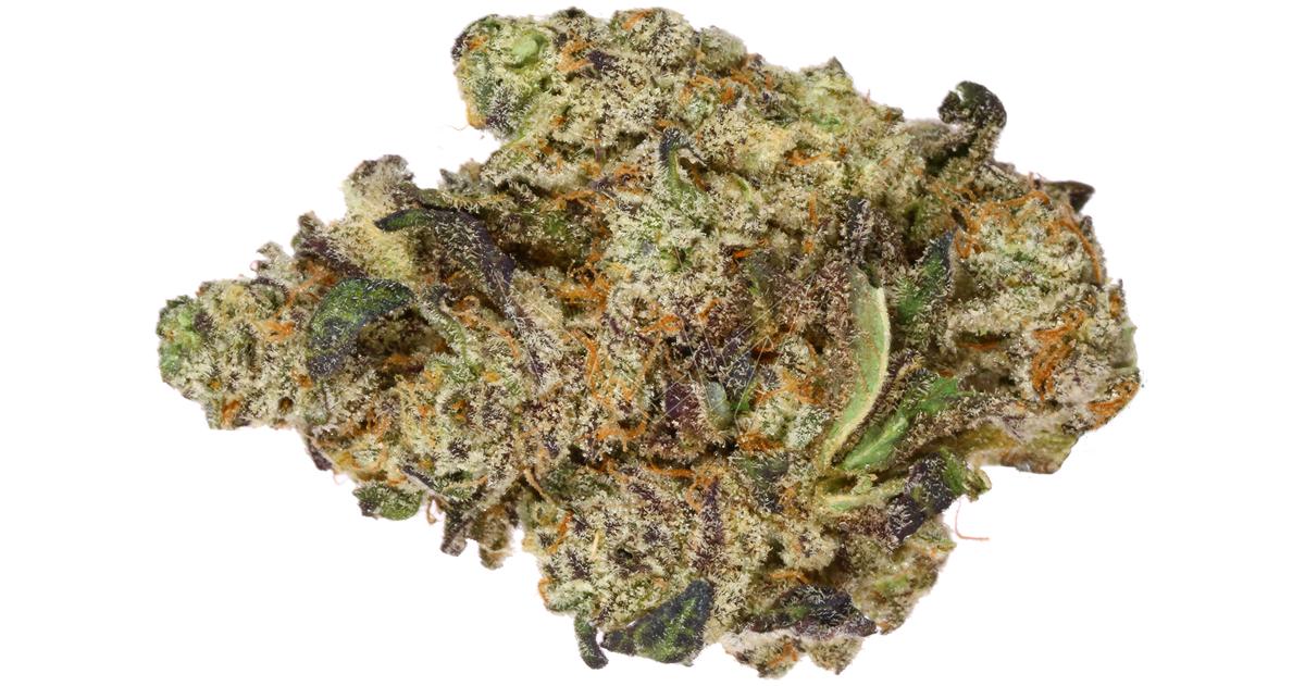 Kush Mintz