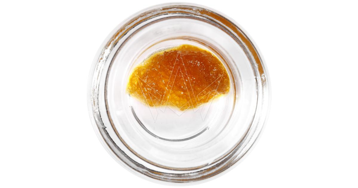 Rincon Rip Live Sugar