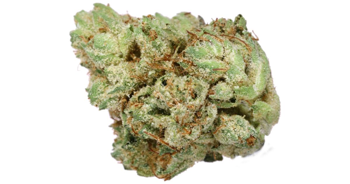 Unruly OG Rollable Flower