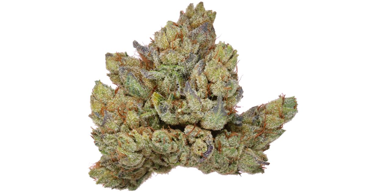 Dr. Blanko OG