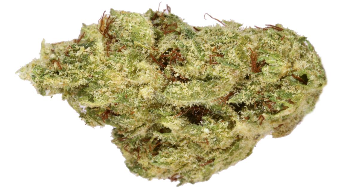 Key Lime Pie