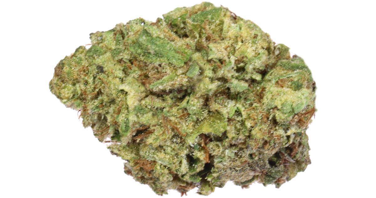 Gelato