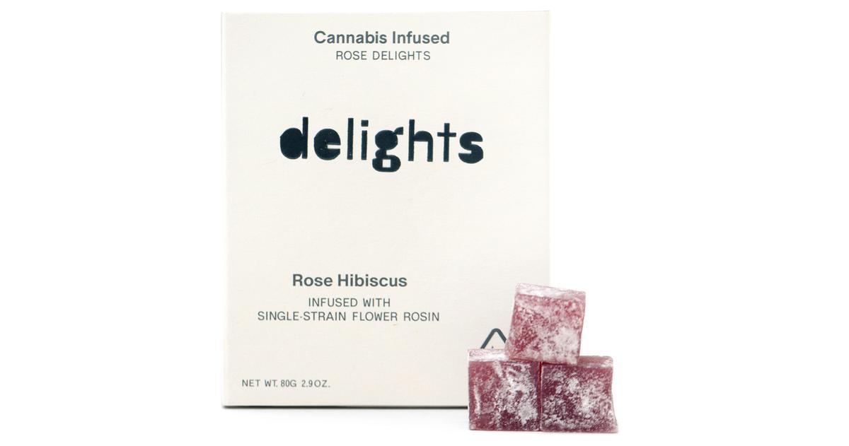 Rose Hibiscus Indica