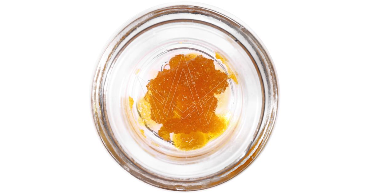 Gelato 25 x Gelato 41 Cured Sugar