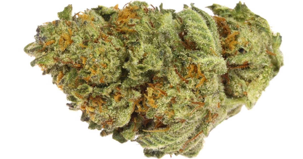Zookies