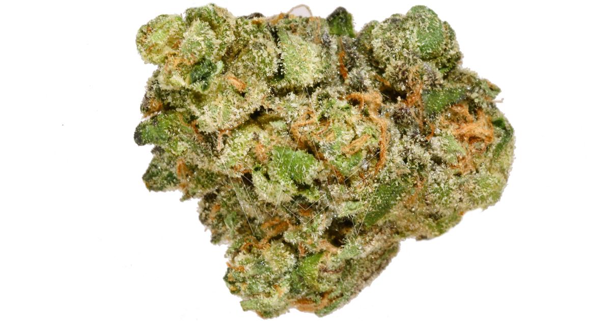 Purp. DDV Midz