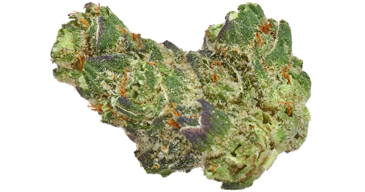 Orange Creamsicle