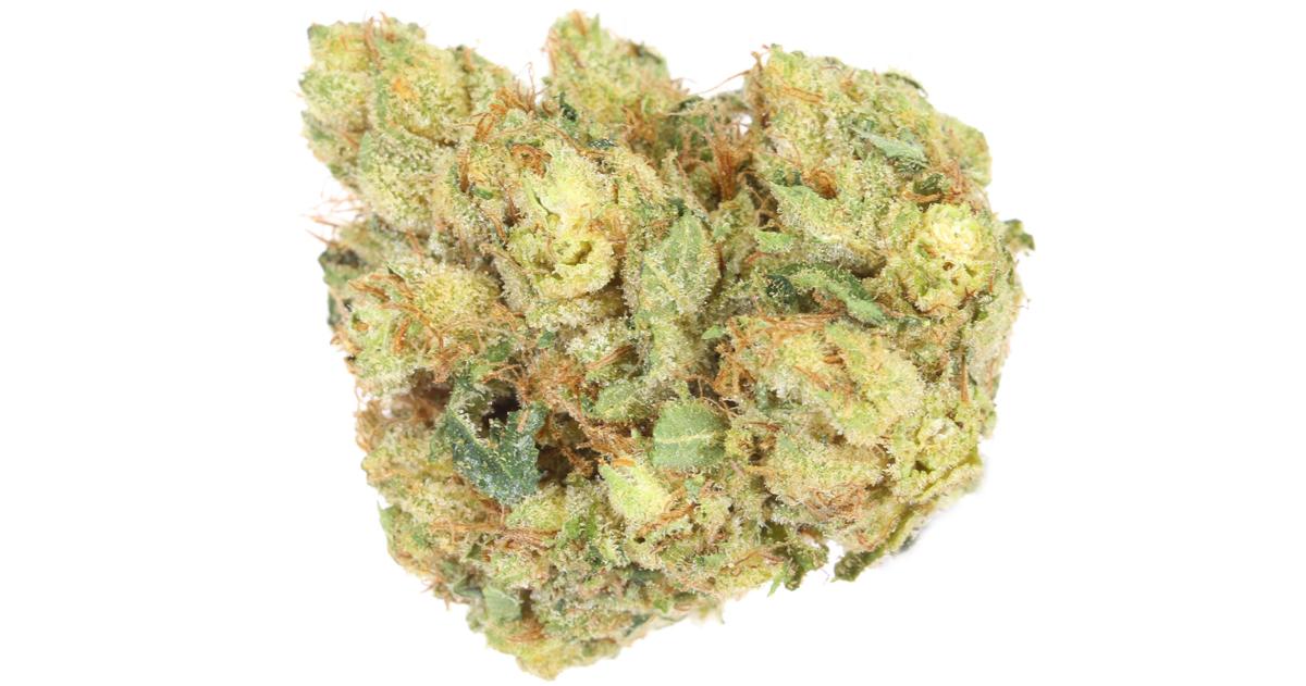 Venom OG