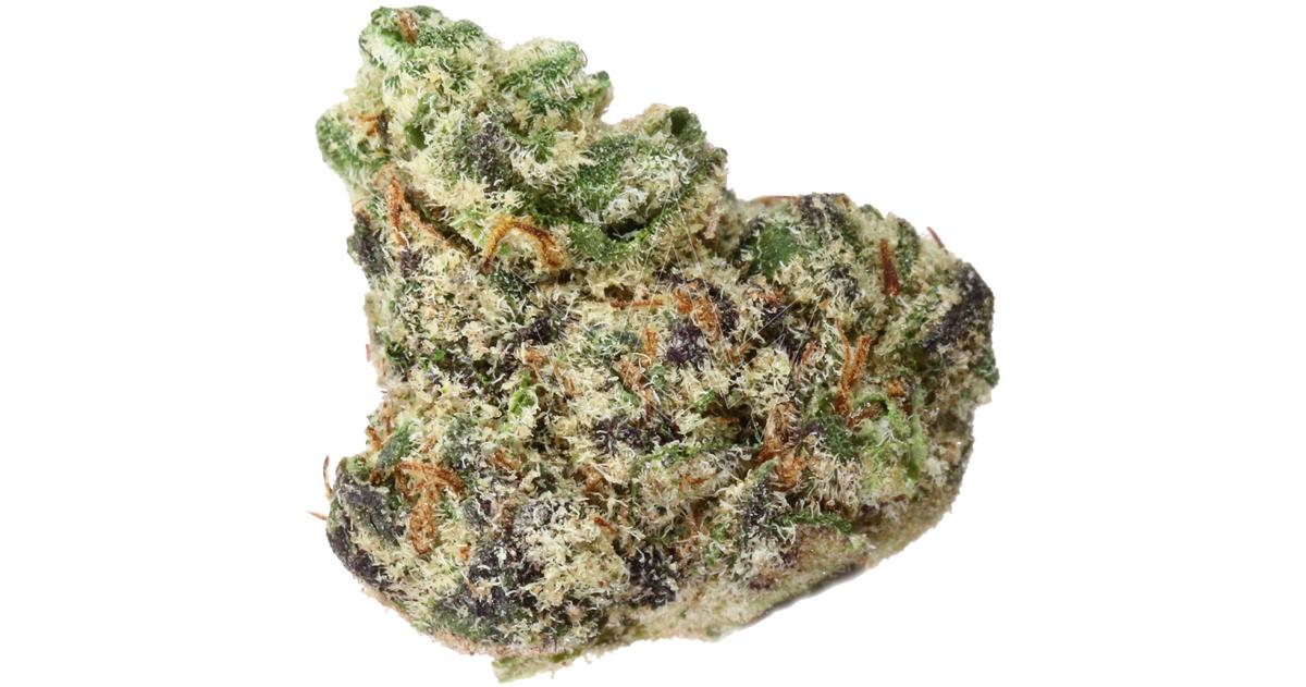 Lava Cake Indoor Buds